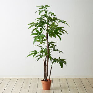 フェイクグリーン 鉢植え 観葉植物の通販 価格比較 価格 Com フェイクグリーン 鉢植え 観葉植物の通販 価格比較 価格 Com