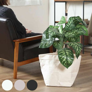 Jo[ Ntg 10 1 IV GY BK(s)yz