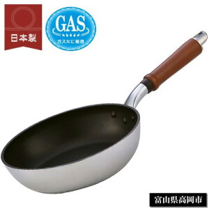 kA~jE { ZLXg tCp 22cm A-0253 VR؃nh KXΐp yďvȃtCp Y HOKUA zNAyz