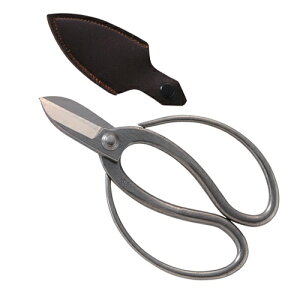 g]EXeX×E165MM |FFyz