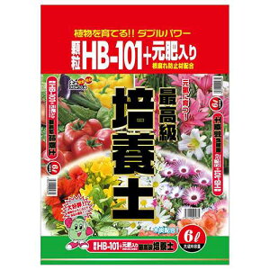 GS HB101�|�{�y 6L