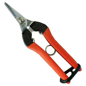 T{e ՌzE-p NO.AG-7Lyz