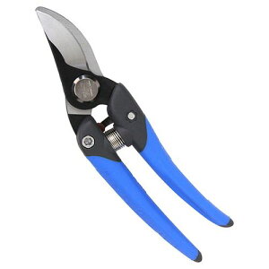 SK11 dH͂-Rn DVC-DS195R