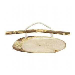 枝付輪切プレート小NP-04 NP-04