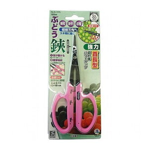 T{e Ԃǂ񒷐גn No.B-1FPLyz