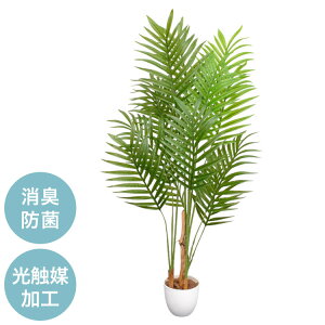 G} CeA O[ AJV lHϗtA tFCNO[CeA    ItBX rO  ^    rO t(s)yz