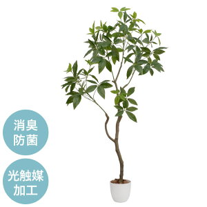 G} CeA O[ pL lHϗtA tFCNO[CeA    ItBX rO  ^    rO t(s)yz