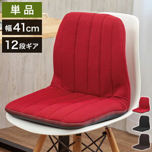 w؃T|[gNCjO`FA Pi T|[g`FA ֎q pP Ջ dp fXN  [g[N  ֎q CX ݑΖ 12iKNCjO pT|[g`FA(