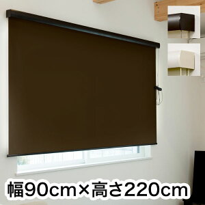 [XN[ Jo[t Ռ 90cm×220cm Vv  k ItBX }V Ԏd؂ [J[e(s)yz