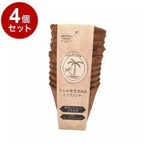 yPi4Zbgz O[tB[hvWFNg V̖ؐ܂̃GRv^[ 3|bg 10 B078y|Cg10{z