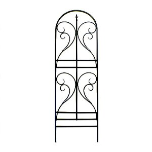 ACAgX tBjA 2g tFX 2Zbg   AeB[N K[f K[fjO (s)