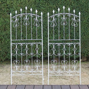 ACA[YtFX150 [^Cv 4g tFX Ⴂ ׂ AeB[N K[f K[fjO  k 뉀(s)yz