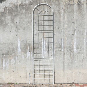 NVbNtFX220 nC^Cv 2g tFX   AeB[N K[f K[fjO  k 뉀(s)yz