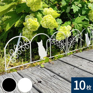 ACAtFX ~j(L) 10g ubN zCg NK7238-10P ~jtFX K[fjOtFX K[ftFX } ^tFX lR L p[e[V  g d؂ E  