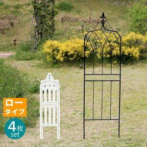 ACAtFX148 [^Cv drape(h[v)4g IF-DR028-4P tFX ACA K[ftFX K[fjO g  d؂ ډB  NVJ AeB[N(s)y|Cg10{