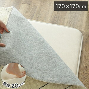 E^20mm Ɍ ~pO 170×170cm O ~ O}bg J[ybg NbV E^ ~ h ׂ~  ӂӂ zbgJ[ybgΉ g[Ή ~(