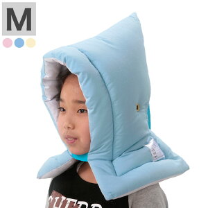 hF JlJhГ M hЂ { MTCYhЃNbV 42×28cm wWjAp St h w wZ wZ hЗpi ڂ NbV hЃNbV