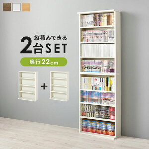 2Zbg {I 60cm ^ X s22cm ubNbN cςOK I VFt I bN I[vbN [(s)yz