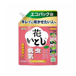 yPi12Zbgz A[X A[XK[f ԂƂ GRpbN 850mL(s)yz