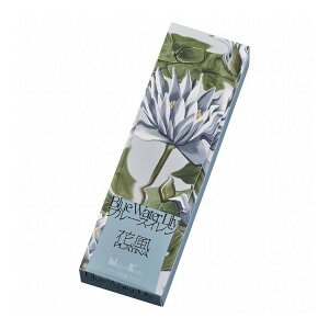 ԕv`i u[XC ol(s)y[֔zzyz