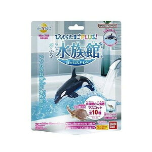 yPi5Zbgz т炽܂PLUS! ӂ됅 o_C(s)y|Cg10{zyz