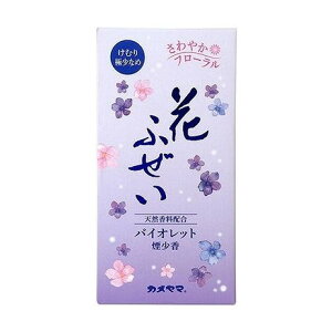 yPi5Zbgz Ԃӂ oCIbg  J}(s)y|Cg10{zyz