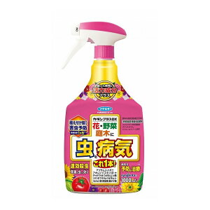 �J�_���v���XDX 1000ml(����s��)