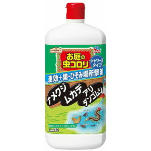 yPi11ZbgzA[XK[f̒RV[1L A[X(s)yz