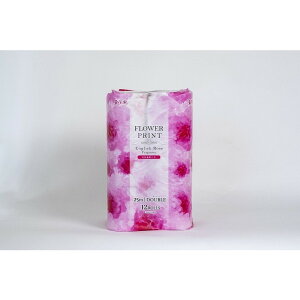 yPi10Zbgzԑt[vg[Y12RW ەx(s)yz