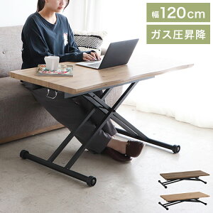 ~e[u _CjOe[u 120 ؖڒ 1 g`V KX ~ _CjOe[u fXN Z^[e[u rO(s)yz