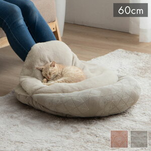 ybg NbV ~ g ~p tFCNt@[   O[W 60cm }XNX(s)yz