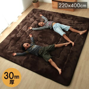 O ~zc ` 傫 LO uE 220×400cm 唻h[N(s)yz