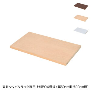 { V cbp bN p㕔BOXpI60cm s29cm Y [ ς ς[ [bN ς胉bN(s)yz