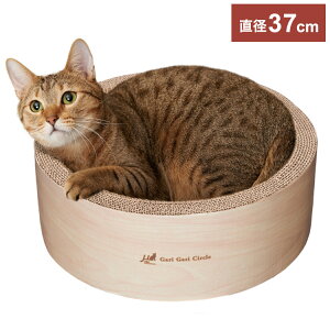 GCNGCc KKT[NCeA ~x[W ܂Ƃ Lp܂Ƃ i{[ _{[ KKy|Cg10{zyz