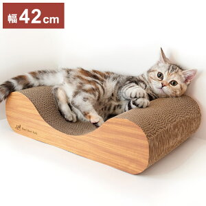 GCNGCc KK\t@CeA~j eB[uE ܂Ƃ Lp܂Ƃ i{[ _{[ KKy|Cg10{z