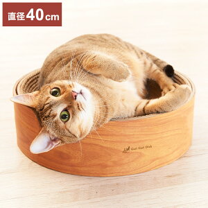 GCNGCc KKfBbVXNb`[ eB[uE ܂Ƃ Lp܂Ƃ i{[ _{[ KKy|Cg10{zyz