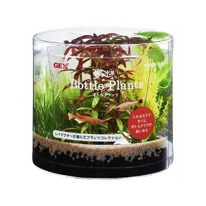 魚 ボトル 水草の人気商品 通販 価格比較 価格 Com