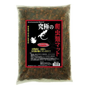 B-blast ���ɂ�঒��ރ}�b�g �e�� 4L ���{�� ���Y ঒��� �����ށy�|�C���g10�{�z