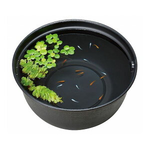 WFbNX GEX _JC _Ĵ߂̎甫 420y|Cg10{z