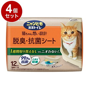 y4Zbgz GXe[ jƂgC ELRۃV[g 12 VXegCp LV[g LpV[g LV[c LgC LpgC jƂ ɂƂy|Cg10{zy