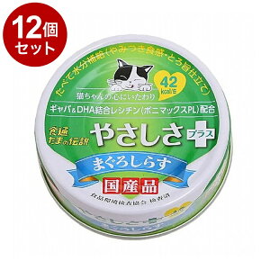 y12Zbgz STIT[ H ܂̓` ₳vX ܂낵炷 70gyz