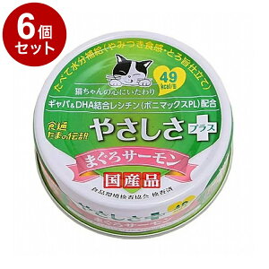 y6Zbgz STIT[ H ܂̓` ₳vX ܂T[ 70g