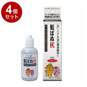 y4Zbgz g[X ]΂ʏ Lp 100mly|Cg10{zyz