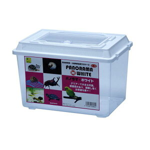 �O�W���� �p�m���} M �z���C�g�y�|�C���g10�{�z