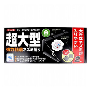 CJ `[NubNKnEX ͔SlY~߂ 2