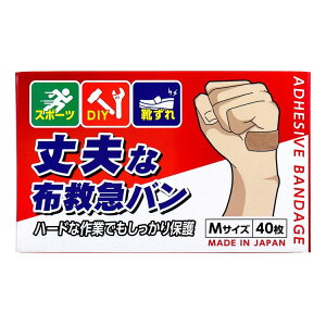 vȕz~}o MTCY 40y|Cg10{z