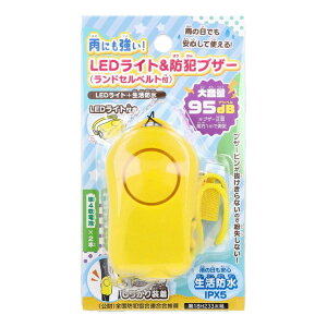 �J�ɂ�����!LED���C�g&�h�ƃu�U�[ �����h�Z���x���g�t 1���y�|�C���g10�{�z