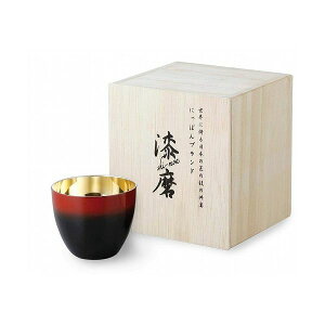 �A�T�q �������̋ɂ� �H�y�H�[ 2�d�\�������ۂݍ��� SCW-GK601�y���������z