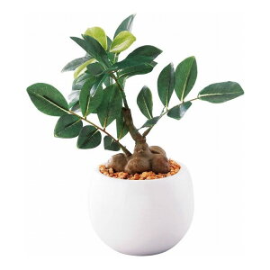 �~�j�ϗt �K�W���}�� �t�F�C�N�O���[�� SC�G�}���H HSP-LE-23 �M�t�g �v���[���g(����s��)�y���������z