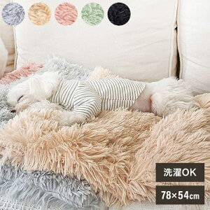 yeBt@[ ӂӂ }JuPbg S p ѕz |zc ӂƂ 􂦂   t@[  킢 ybgp Petifamy|Cg10{zyz